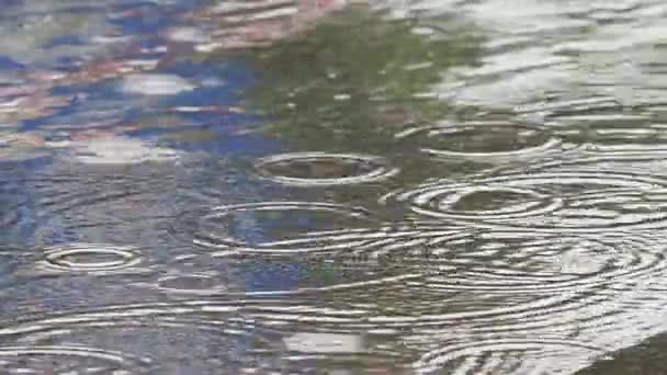 Regnet droppar porlande i en pöl i mitten av gatan — Stockvideo