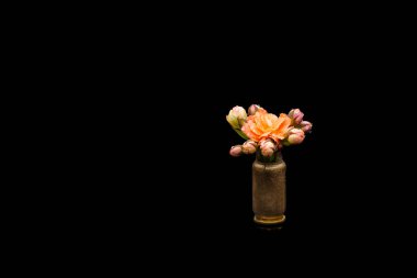 Karşı izole üzerinde siyah çiçek gücü simgeleyen bir oluk kurşun içine portakal suluboya çiçek