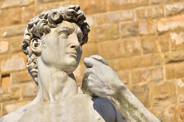 Michelangelo Bunarroti Piazza della Signorria Floransa, İtalya, David heykeli
