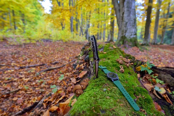 Férfi készlet - kések és órák. Fekete kés és intelligens nézni ősszel forrest — Stock Fotó