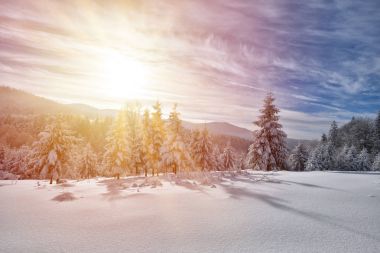 Güneş ışığıyla parlayan görkemli beyaz şeritler. Resimli ve muhteşem kış manzarası.