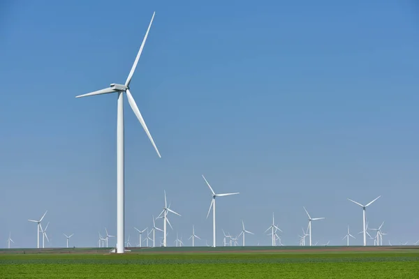 Eolian farm megújuló energia friss zöld területen szemben tiszta kék ég — Stock Fotó