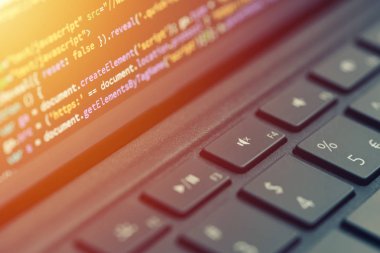 Kodlama, programlama laptop perde, web geliştirme, geliştirici portre