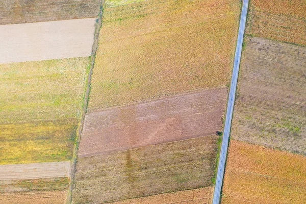 Farm Land Aerial View Country Road Drone View Ladnscape Crops — Stock Photo, Image