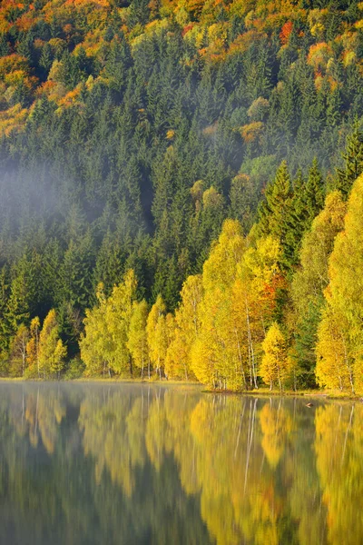 Φθινοπωρινό Τοπίο Στα Βουνά Δέντρα Αντανακλώνται Στο Νερό Στη Λίμνη — Φωτογραφία Αρχείου