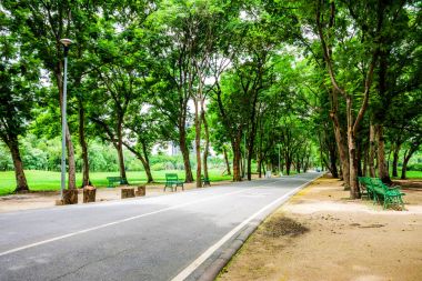 Kentsel şehir parkı Green Park ve yeşil ağaç. egzersiz ve rahatla.