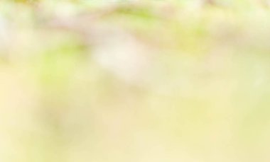 Doğa, soyut doğa arka plan bulanıklık