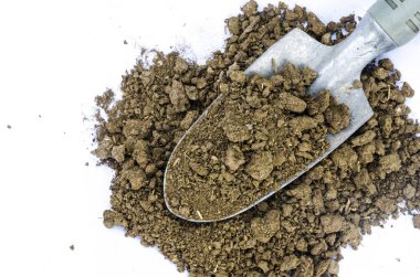 Beyaz arka plan üzerinde kopya alanı izole yakın çekim kuru inek gübresi