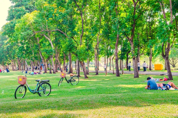 Bicycle on green grass in the park