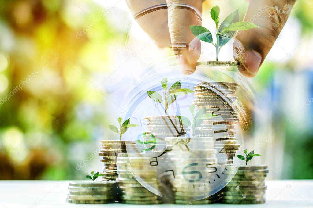 Growing plant on coin money for finance and banking concept, Fin