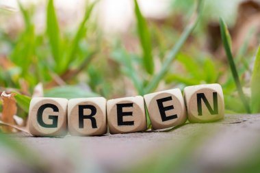 Kahverengi yaprakların üzerindeki ahşap blokla çevre dostu kavram