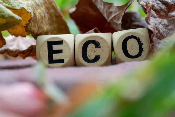 Eco concetto amichevole con blocco di legno su foglie marroni backgroun — Foto Stock
