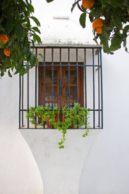 Beyaz İspanyol duvar.