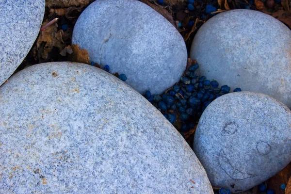 Des pierres. Souris. Macro . — Photo