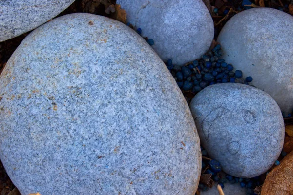 Piedras. Sonríe. Macro . —  Fotos de Stock