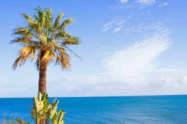 Beyaz duvar, palmiye ağacı, mavi gökyüzü, deniz, bulutlar. İspanya. 