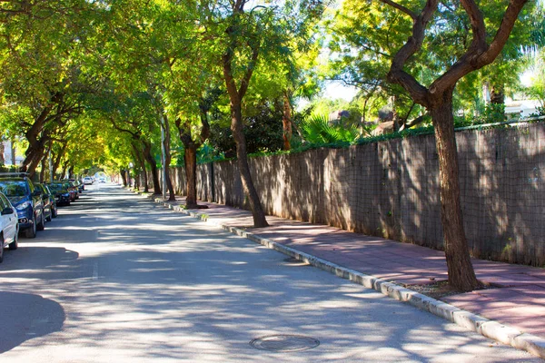 Grüne Straße. Spanien — Stockfoto