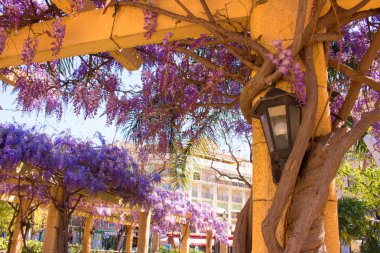 Sütun. Güzel bahçe dekorasyon. 