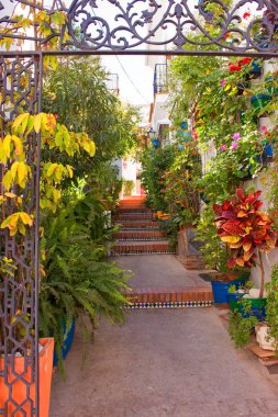 Sokak. Güzel İspanyolca sokak. 