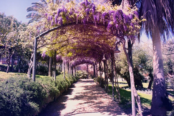 公園。地中海の春. — ストック写真