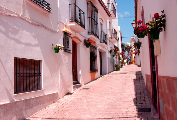 Street. Flowers and trees.