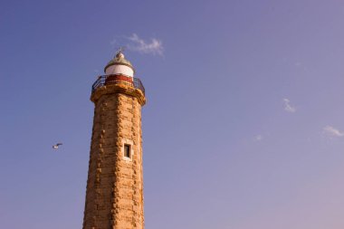 Deniz feneri. Gökyüzünde martı. 
