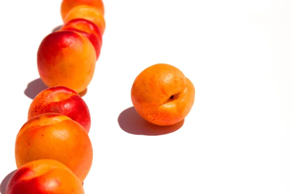 Абрикос. Гливи абрикоси . — стокове фото