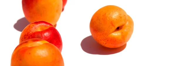 Apricot. Ripe apricots. — Stock Photo, Image