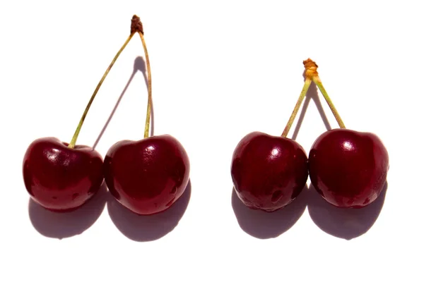 Cherry. Cherries in white bowl. — Stock Photo, Image