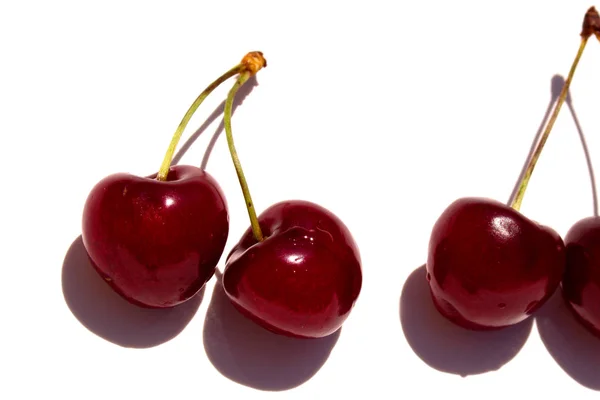 Cherry. Cherries in white bowl. — Stock Photo, Image