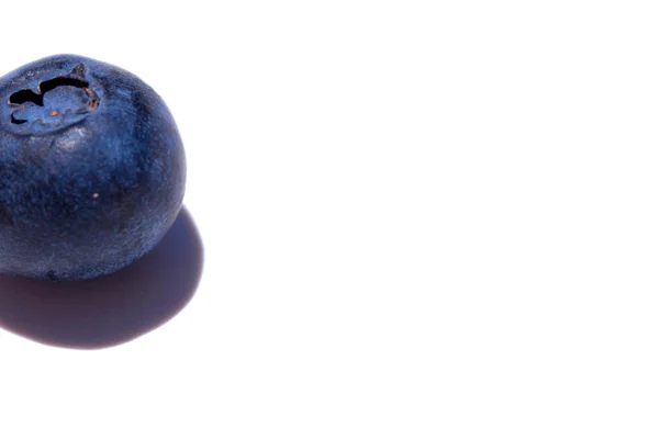 Blueberry on white background. — Stock Photo, Image