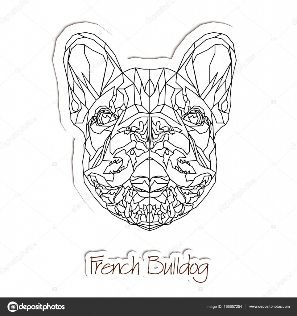 Bulldog francese Buffo animale domestico Illustrazione di vettore — Vettoriali di katerina7chuya