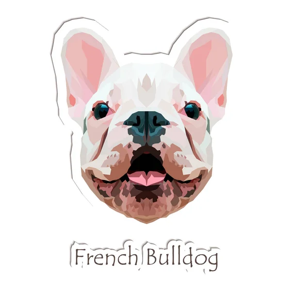 Bulldog francese. Illustrazione vettoriale . — Vettoriale Stock