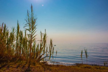 Plaj manzarası. Akdeniz.