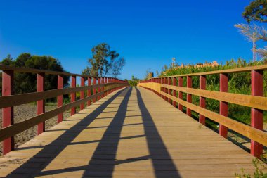 Yol. Ahşap sahil yolu.