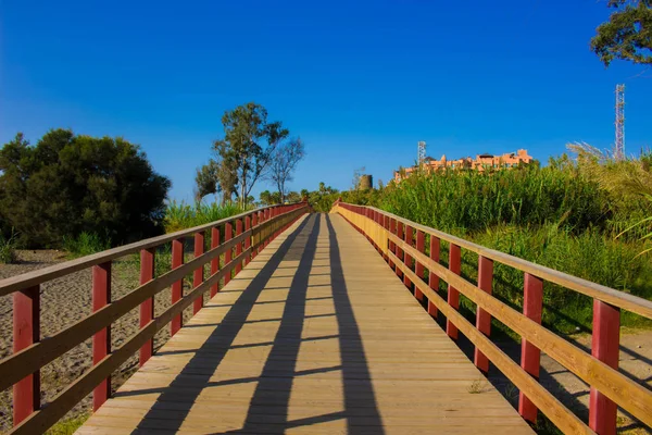 Yol. Ahşap sahil yolu.