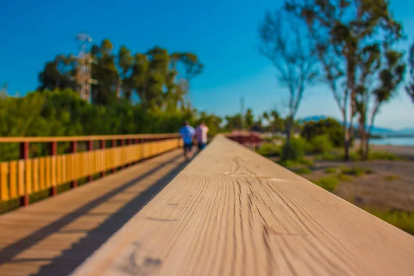 Camino. Carretera de madera costera . —  Fotos de Stock