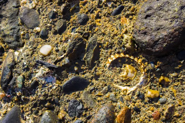 Falésias de praia. Pedra, concha e mar . — Fotografia de Stock