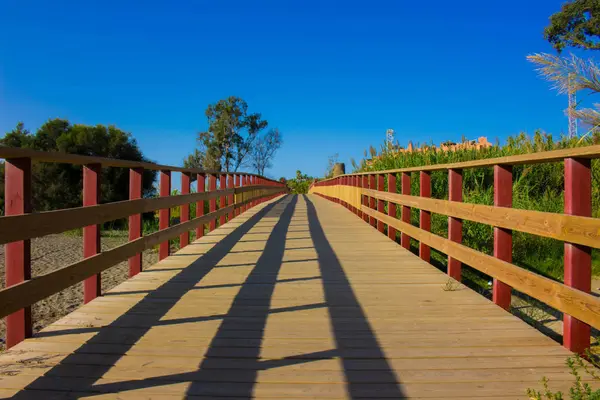 Yol. Ahşap sahil yolu.