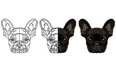 Fransız buldozer. Vektör çizim.