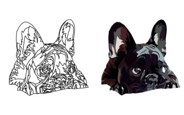 Fransız buldozer. Vektör çizim. 