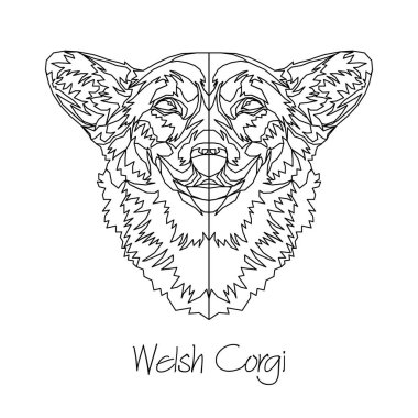 Galce Corgi. Vektör çizim. 