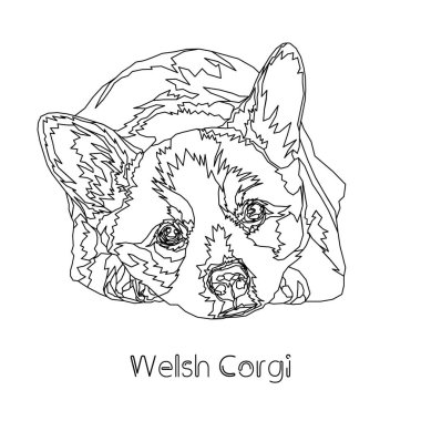 Galce Corgi. Vektör çizim. 