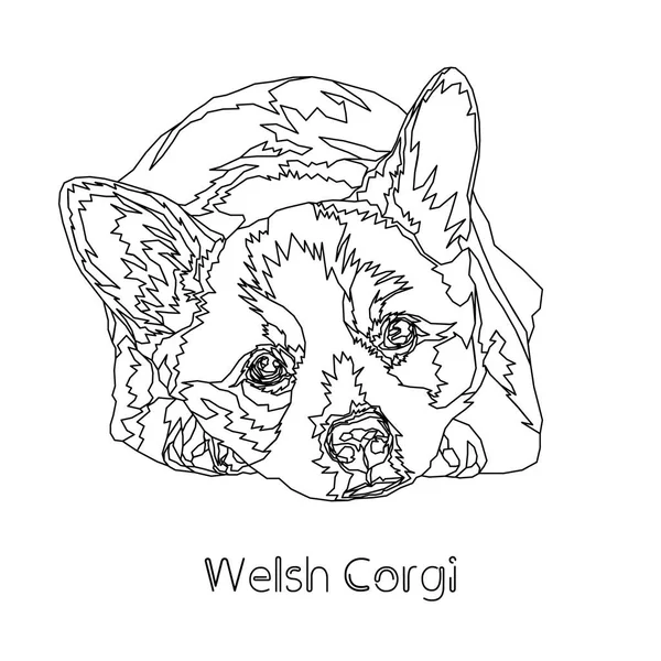 Galce Corgi. Vektör çizim. 