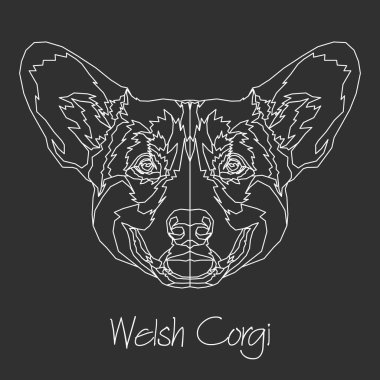 Galce Corgi. Vektör çizim. 