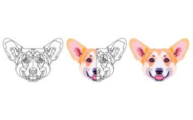 Galce Corgi. Vektör çizim. 