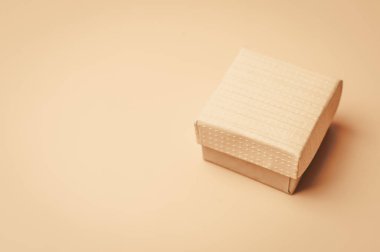 Bej izole edilmiş arka planda klasik bej bir kutu. Yumuşak tonlama. Tasarım şablonu, kopyalama alanı.