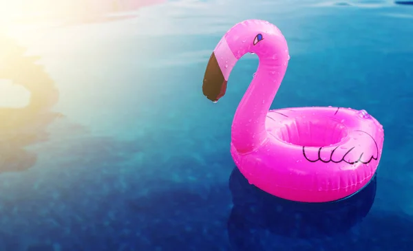 Egy Kis Felfújható Flamingó Úszik Medencében Napfényben Poháralátét Medencéhez Nyári — Stock Fotó