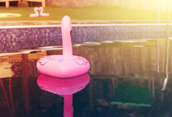 a little inflatable flamingo swims in the pool in the sunlight. In the background kissing flamingos in the shape of a heart. Cup holders. A concept of summer time. Beach summer composition.