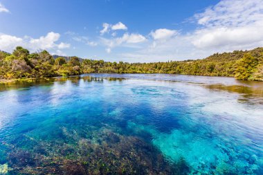 Te Springs Waikoropupu Yeni Zelanda